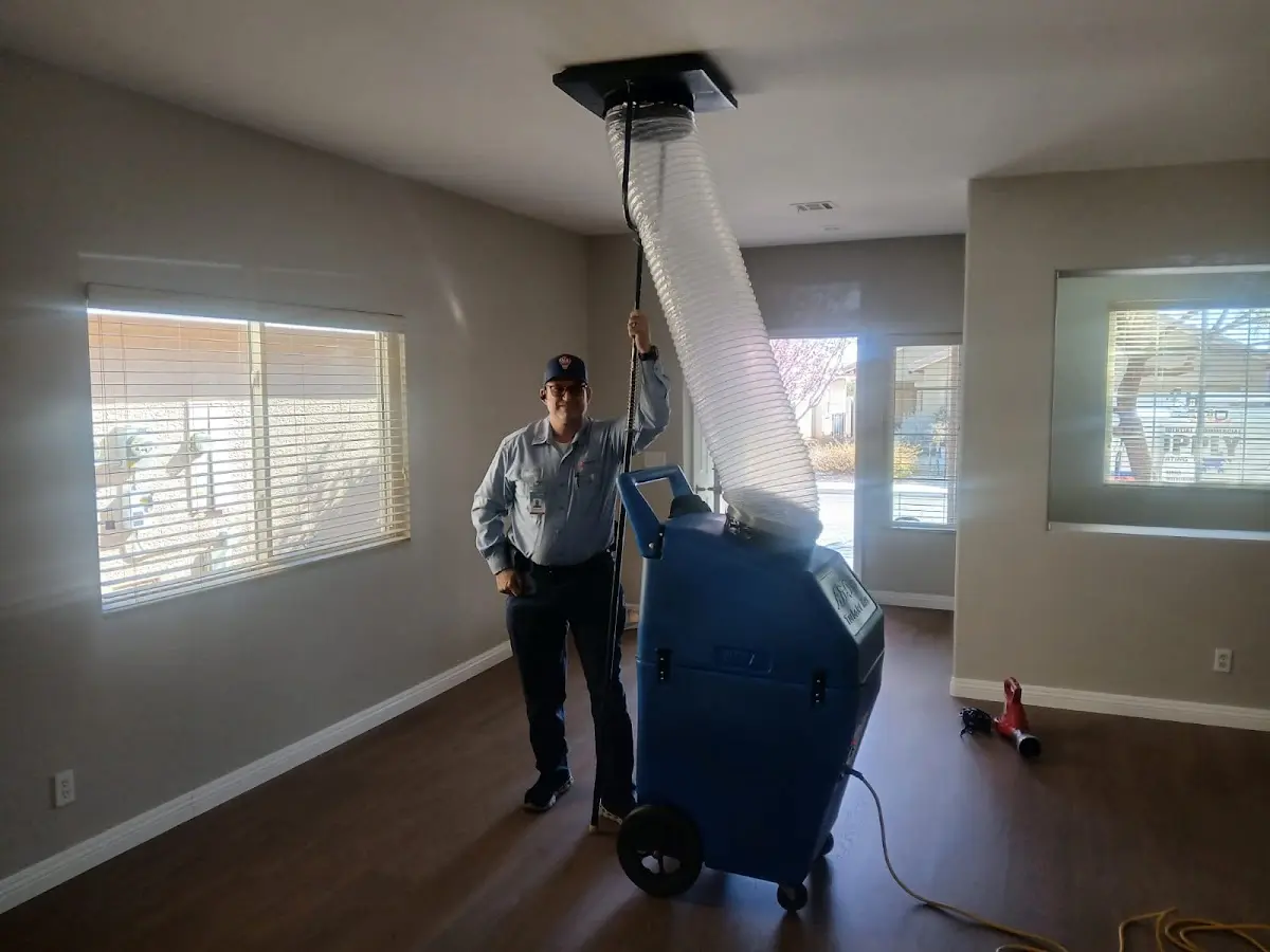 Professional Dryer Vent Cleaning work inside a Cloverdale home